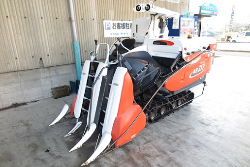 AR317GLW